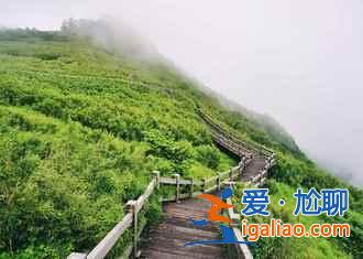 冬天適合去神農(nóng)架嗎，冬天去神農(nóng)架徒步怎么樣？