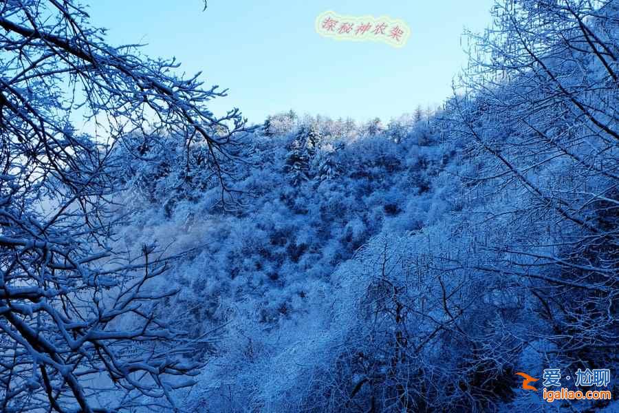冬天適合去神農(nóng)架嗎，冬天去神農(nóng)架徒步怎么樣？