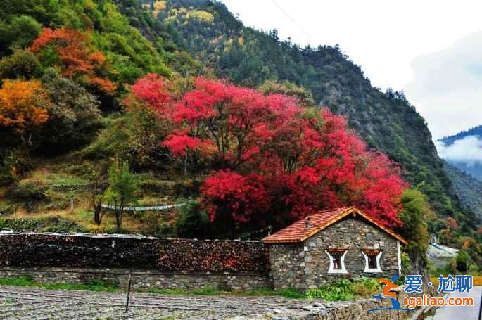 米亞羅紅葉到底怎樣，2018米亞羅紅葉最佳觀(guān)賞時(shí)間？