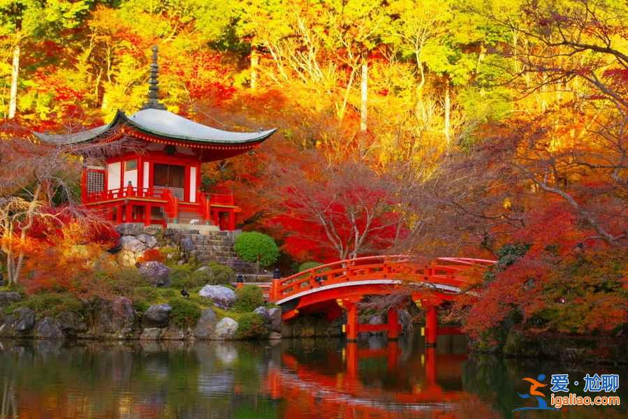 11月去關(guān)西賞紅葉路線，2018關(guān)西紅葉時(shí)間？