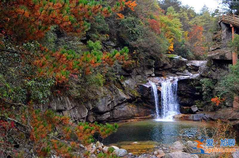 10月下旬，光霧山紅葉進(jìn)入迎來最佳觀賞時(shí)節(jié)？