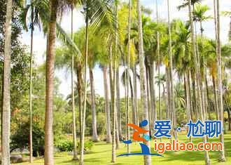 2017西雙版納潑水節(jié)，2017西雙版納潑水節(jié)時(shí)間？