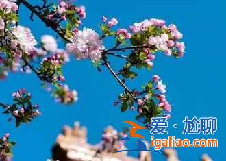 【香山纜車多少錢】2018香山纜車價格,北京香山纜車價格介紹? 【香山纜車多少錢】2018香山纜車價格,北京香山纜車價格介紹?