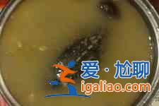 青蒿鱉甲湯？