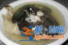 青蒿鱉甲湯？