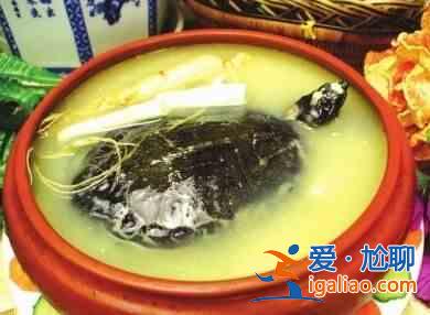青蒿鱉甲湯？