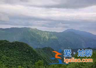 2017彭州牡丹花開時間、2017彭州牡丹花會時間？