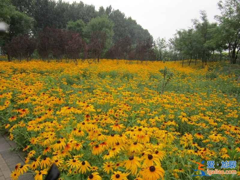北京周邊自駕游：四五月自駕京郊公路最合適??？