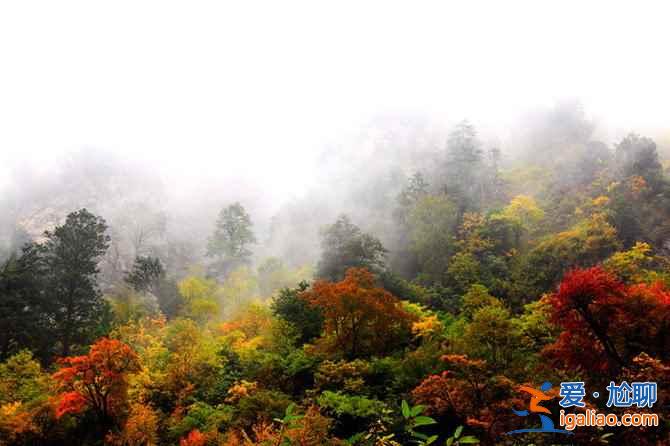 【米亞羅紅葉】2017四川米亞羅紅葉門票、最佳攝影時(shí)間、交通指南？