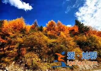 【米亞羅紅葉】2017四川米亞羅紅葉門票、最佳攝影時(shí)間、交通指南？