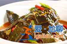 甲魚的做法大全？