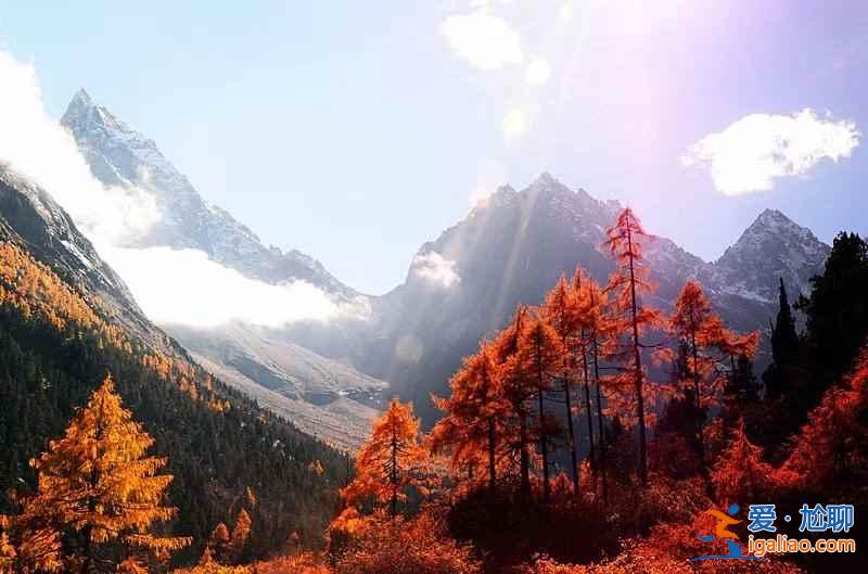 【米亞羅紅葉】2017四川米亞羅紅葉門票、最佳攝影時(shí)間、交通指南？
