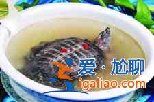 甲魚湯的做法？