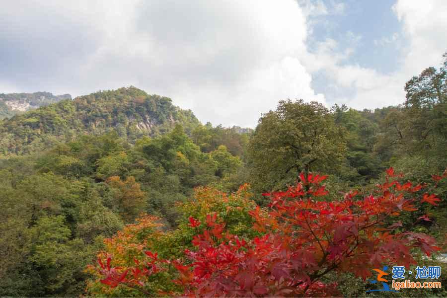 光霧山幾月看紅葉,光霧山國慶有紅葉嗎? 光霧山幾月看紅葉,光霧山國慶有紅葉嗎?