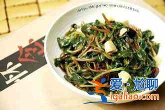 馬蜂菜的幾種吃法？