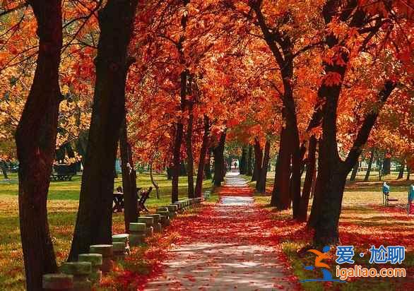 【北京看紅葉的地方】2018北京看紅葉去哪里，北京看紅葉地方推薦？