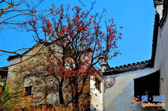 2018婺源紅葉情報：婺源紅葉觀賞時間、最佳地點、攝影指南？