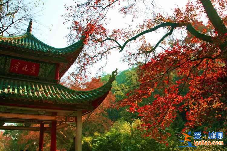 2018岳麓山紅葉觀賞時間,岳麓山紅葉幾月開? 2018岳麓山紅葉觀賞時間,岳麓山紅葉幾月開?
