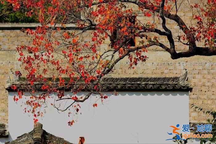 2018婺源紅葉情報：婺源紅葉觀賞時間、最佳地點、攝影指南？