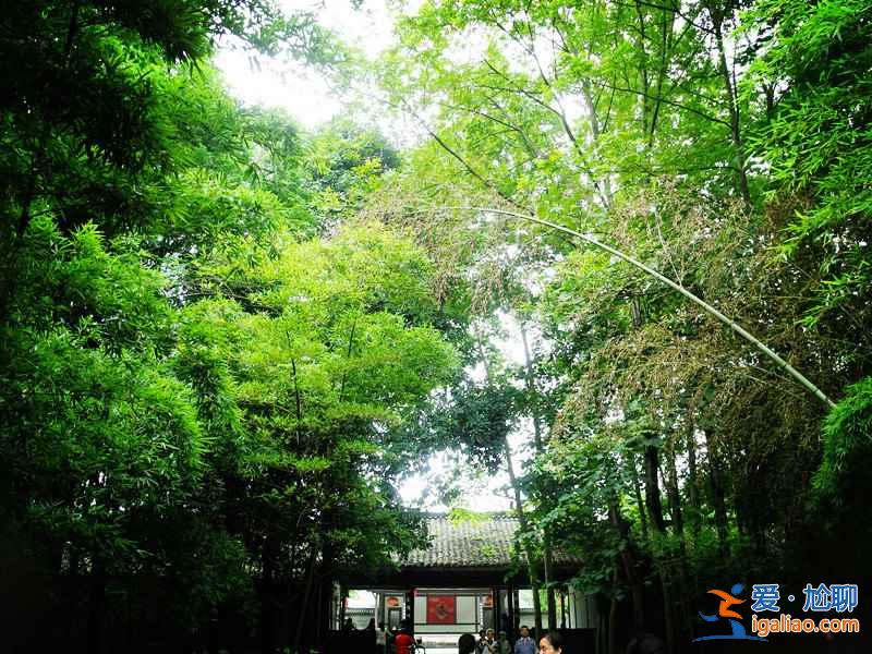 成都到新津多少公里，成都到新津自駕路線？