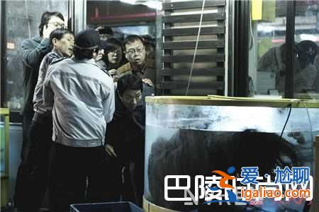 《漢江怪物》恐怖災(zāi)難片好看嗎？？