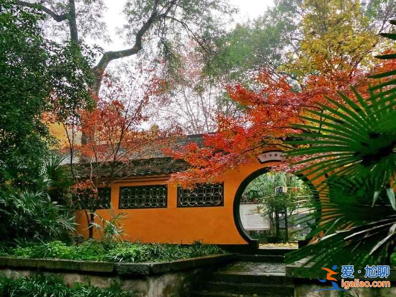 南京有哪些適合登山的地方，南京爬山好去處？