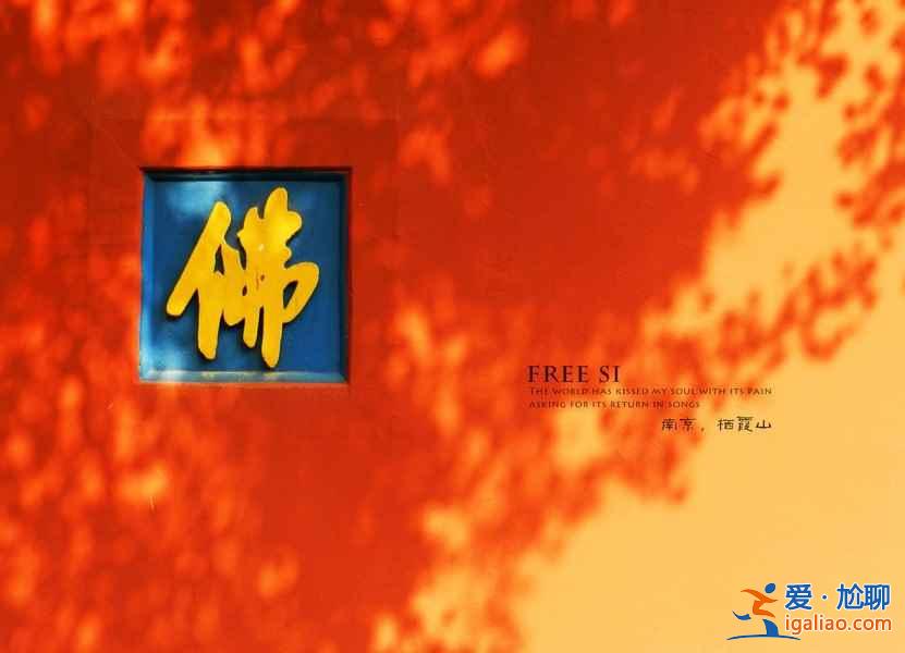 南京有哪些適合登山的地方，南京爬山好去處？