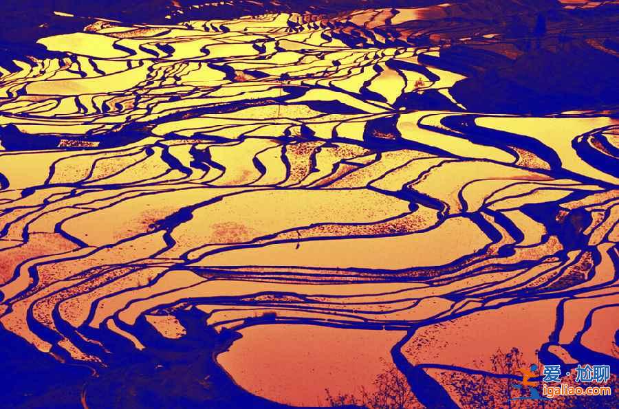國內(nèi)3月景色最美的地方，3月去哪里旅游好？