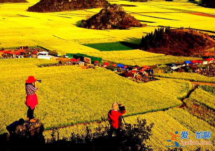 國內(nèi)3月景色最美的地方，3月去哪里旅游好？