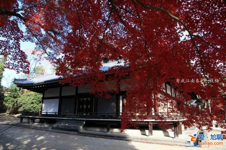 2018日本紅葉時間,日本紅葉前線時間? 2018日本紅葉時間,日本紅葉前線時間?