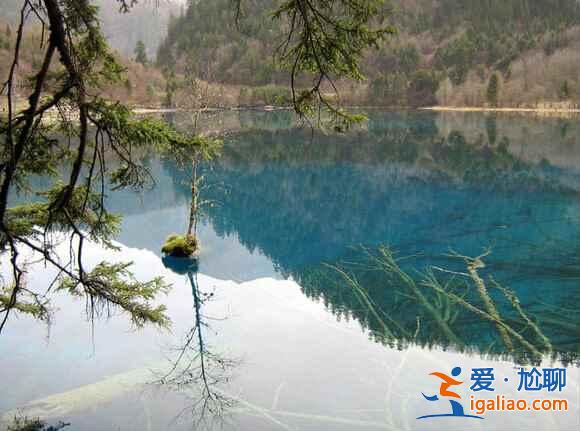 春天去九寨溝怎么樣,九寨溝春天景色? 春天去九寨溝怎么樣,九寨溝春天景色?