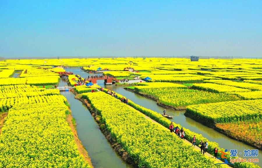 國內(nèi)3月景色最美的地方，3月去哪里旅游好？