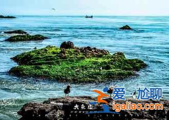 秋天不爬山？威海人最想征服的4座山？