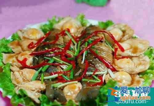 美食達人推介六款美味魯菜？