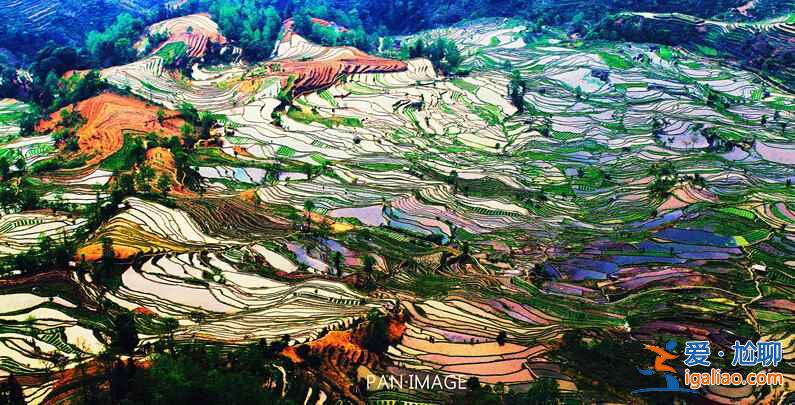 國內(nèi)3月景色最美的地方，3月去哪里旅游好？