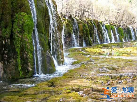 春天去九寨溝怎么樣,九寨溝春天景色? 春天去九寨溝怎么樣,九寨溝春天景色?