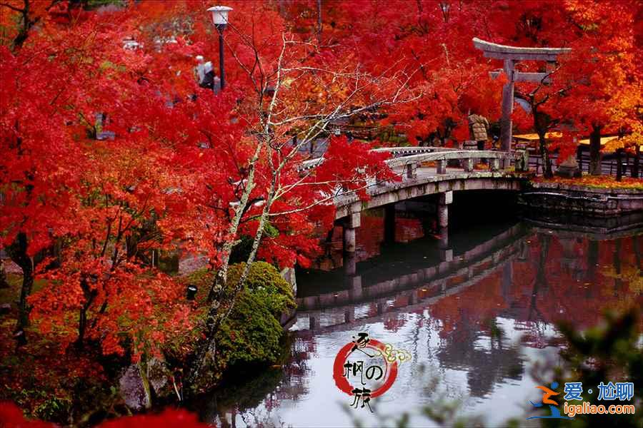 【京都紅葉】2018京都紅葉什么時候紅，京都紅葉時間及觀賞地？