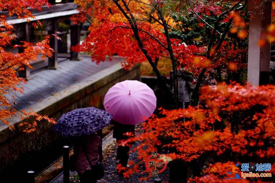 【京都紅葉】2018京都紅葉什么時候紅，京都紅葉時間及觀賞地？