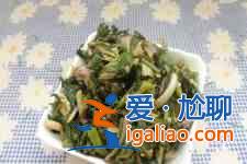 婆婆丁的吃法？