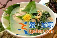 婆婆丁的吃法？
