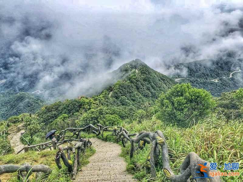 深圳梧桐山徒步怎么走，深圳梧桐山經(jīng)典徒步路線，深圳梧桐山徒步攻略？