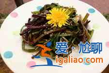 婆婆丁的吃法？