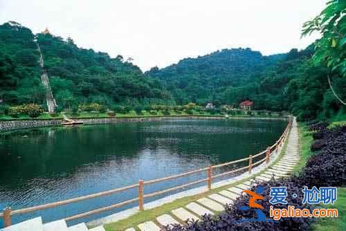 廣州春天去哪里玩，廣州周邊踏青好去處？