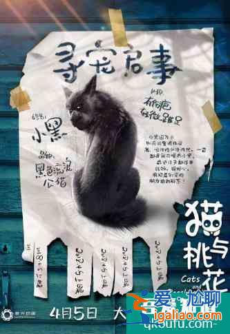 電影《貓與桃花源》“尋寵”版海報出爐，形象可愛萌翻貓圈？