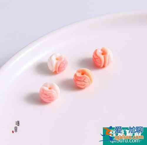 女王貝的功效 女王貝是什么？