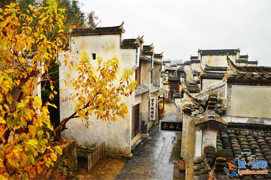 上海周邊自駕游攻略，上海周邊自駕游好去處，上海周邊有自駕游推薦？
