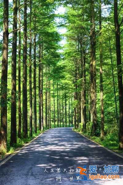 夏天去哪里旅游涼快，夏天去哪里旅游不熱？