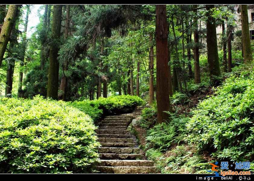 夏天去哪里旅游涼快，夏天去哪里旅游不熱？