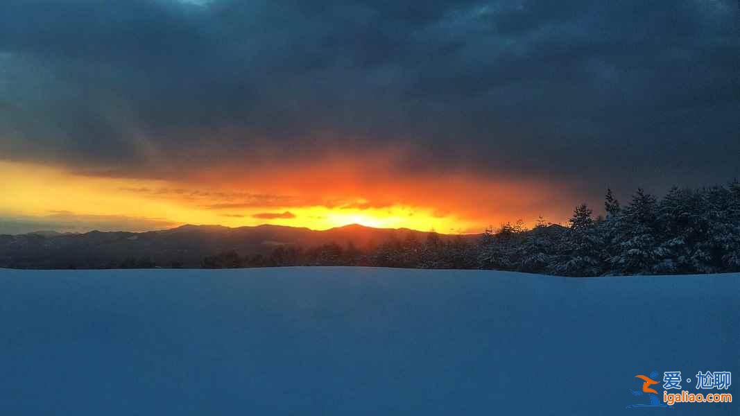 何必苦苦等下雪，去世界上降雪量最大的城市旅行玩雪??？