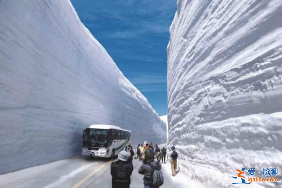 何必苦苦等下雪，去世界上降雪量最大的城市旅行玩雪??？